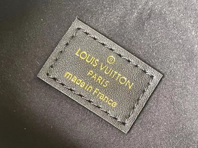 LV Hobo Bags